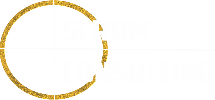 SCRUM Consulting